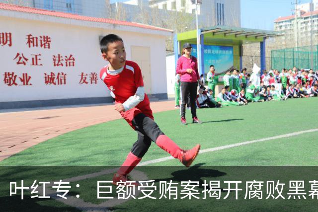 叶红专：巨额受贿案揭开腐败黑幕